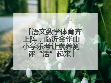 语文数学体育齐上阵，临沂金雀山小学乐考让素养测评“活”起来