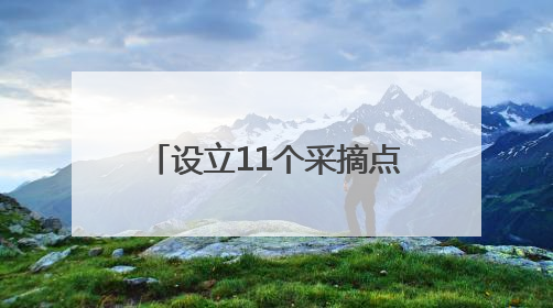 设立11个采摘点 武宁第十一届“新光杯”杨梅文化旅游节开幕（组图）