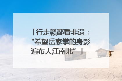 行走赣鄱看非遗：“希望岳家拳的身影遍布大江南北”
