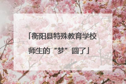 衡阳县特殊教育学校师生的“梦”圆了