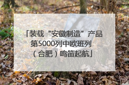 装载“安徽制造”产品 第5000列中欧班列（合肥）鸣笛起航