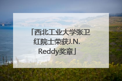西北工业大学张卫红院士荣获J.N.Reddy奖章