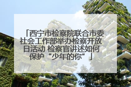 西宁市检察院联合市委社会工作部举办检察开放日活动 检察官讲述如何保护“少年的你”