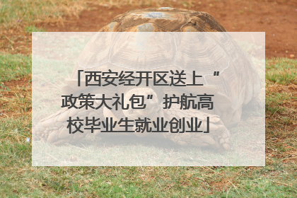 西安经开区送上“政策大礼包”护航高校毕业生就业创业