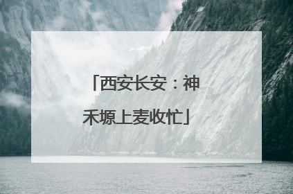 西安长安：神禾塬上麦收忙