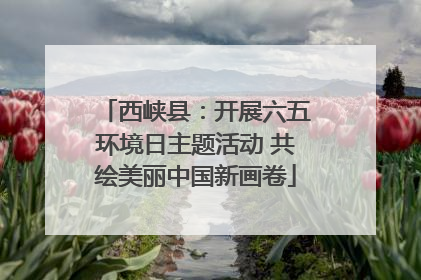 西峡县：开展六五环境日主题活动 共绘美丽中国新画卷
