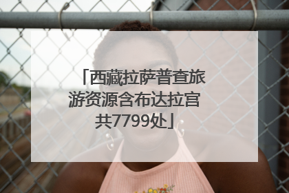 西藏拉萨普查旅游资源含布达拉宫共7799处