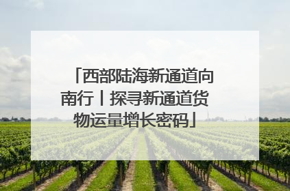 西部陆海新通道向南行丨探寻新通道货物运量增长密码
