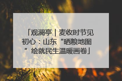 观澜亭｜麦收时节见初心：山东“晒粮地图”绘就民生温暖画卷