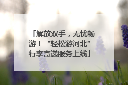 解放双手，无忧畅游！“轻松游河北”行李寄递服务上线