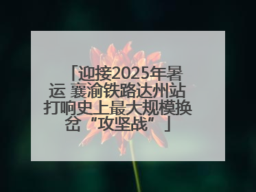 迎接2025年暑运 襄渝铁路达州站打响史上最大规模换岔“攻坚战”