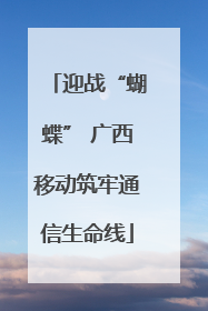 迎战“蝴蝶” 广西移动筑牢通信生命线