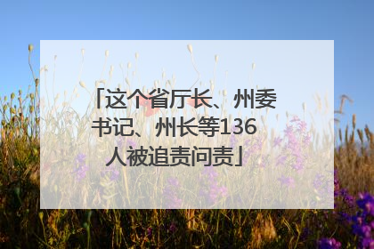 这个省厅长、州委书记、州长等136人被追责问责