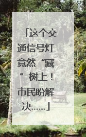 这个交通信号灯竟然“藏”树上！市民盼解决……