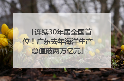 连续30年居全国首位！广东去年海洋生产总值破两万亿元