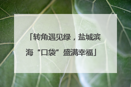 转角遇见绿，盐城滨海“口袋”盛满幸福