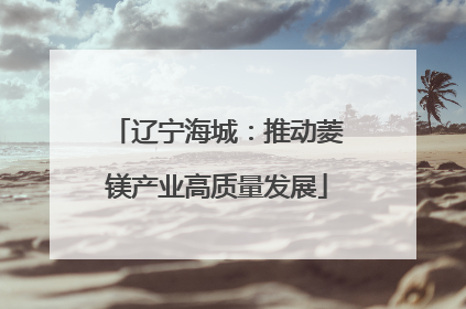辽宁海城：推动菱镁产业高质量发展