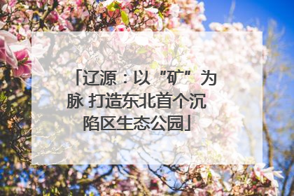 辽源：以“矿”为脉 打造东北首个沉陷区生态公园