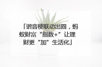 谐音梗联动出圈，蚂蚁财富“指数+”让理财更“加”生活化