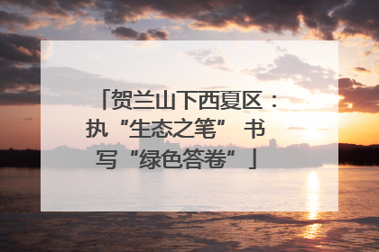 贺兰山下西夏区：执“生态之笔” 书写“绿色答卷”