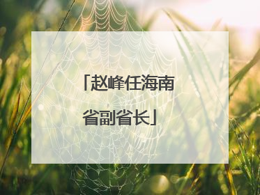 赵峰任海南省副省长
