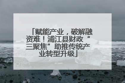 赋能产业，破解融资难！浦江县财政“三聚焦”助推传统产业转型升级