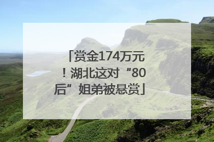 赏金174万元！湖北这对“80后”姐弟被悬赏