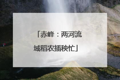 赤峰：两河流域稻农插秧忙