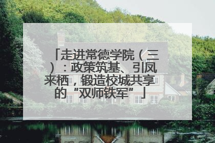 走进常德学院（三）：政策筑基、引凤来栖，锻造校城共享的“双师铁军”