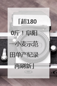 超1800斤！阜阳一小麦示范田单产纪录再刷新