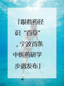 跟着药径识“百草”，宁波首条中医药研学步道发布