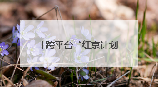 跨平台“红京计划”发布：加速实现从内容种草到交易转化丨变革618