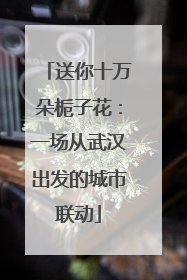 送你十万朵栀子花：一场从武汉出发的城市联动