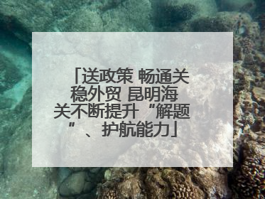 送政策 畅通关 稳外贸 昆明海关不断提升“解题”、护航能力