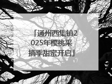 通州西集镇2025年樱桃采摘季甜蜜开启