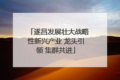遂昌发展壮大战略性新兴产业 龙头引领 集群共进