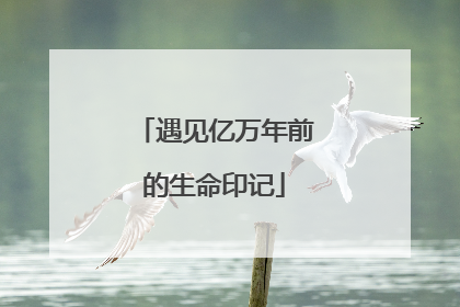 遇见亿万年前的生命印记