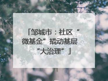 邹城市：社区“微基金”撬动基层“大治理”