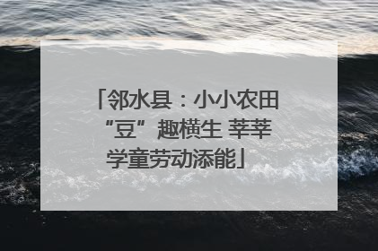 邻水县：小小农田“豆”趣横生 莘莘学童劳动添能
