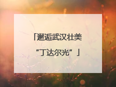 邂逅武汉壮美“丁达尔光”