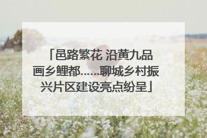 邑路繁花 沿黄九品 画乡鲤都……聊城乡村振兴片区建设亮点纷呈
