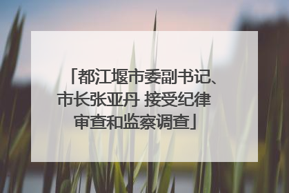 都江堰市委副书记、市长张亚丹 接受纪律审查和监察调查