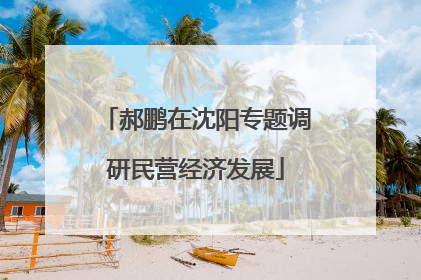 郝鹏在沈阳专题调研民营经济发展