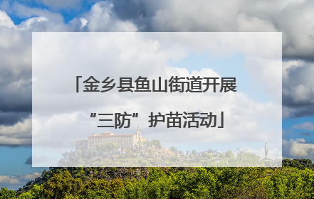 金乡县鱼山街道开展“三防”护苗活动