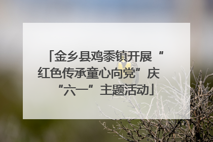 金乡县鸡黍镇开展“红色传承童心向党”庆“六一”主题活动