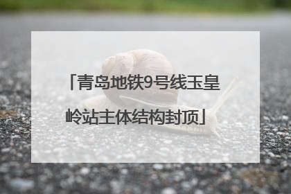 青岛地铁9号线玉皇岭站主体结构封顶