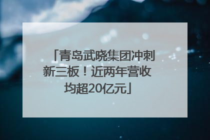青岛武晓集团冲刺新三板！近两年营收均超20亿元