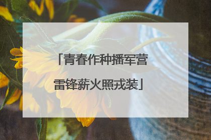 青春作种播军营 雷锋薪火照戎装