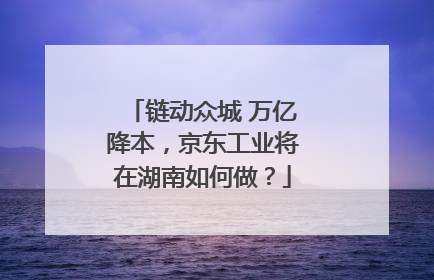 链动众城 万亿降本，京东工业将在湖南如何做？