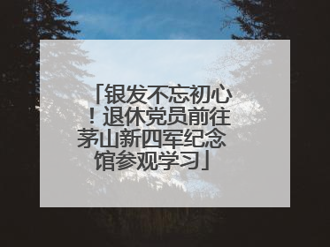 银发不忘初心！退休党员前往茅山新四军纪念馆参观学习